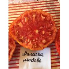 Редкие сорта томатов Мамина любовь'